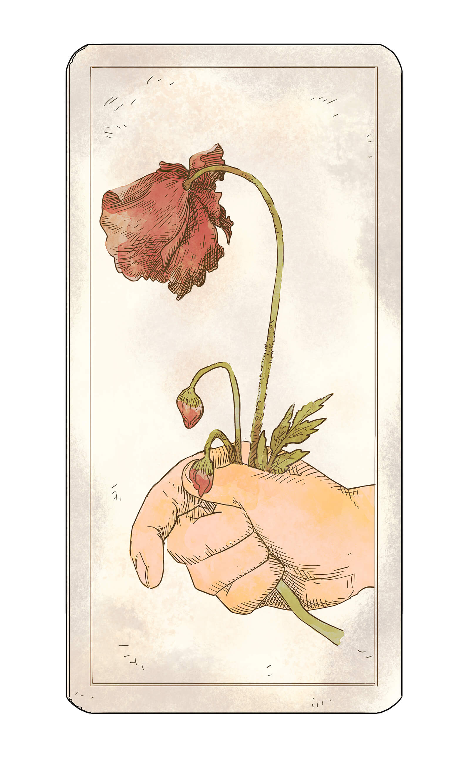 CHAPTER V IL PAPAVERO