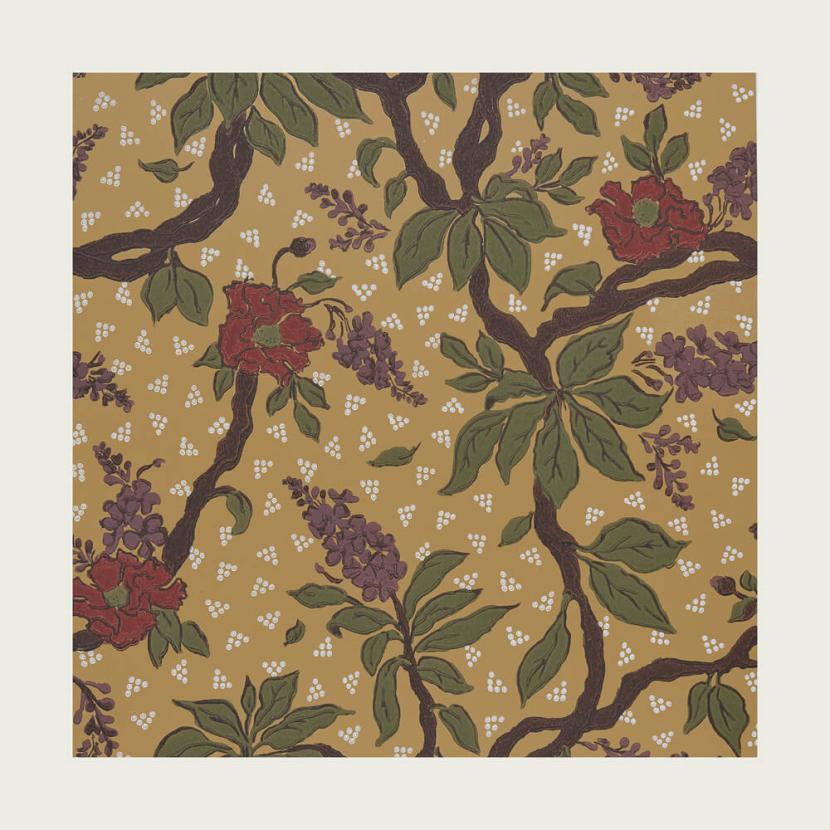 LES BAOBABS AMOUREUX - 01